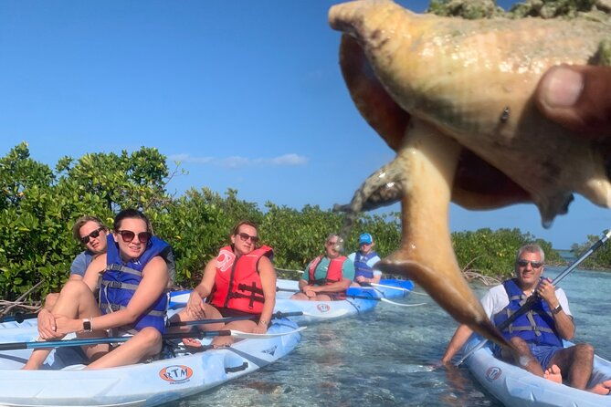 mangroves-kayak-tour