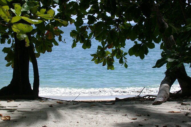 manuel-antonio-national-park-full-day-tour-from-san-jose