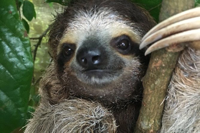 manuel-antonio-national-park-full-wildlife