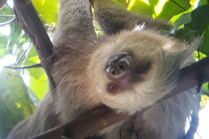 manuel-antonio-national-park-hiking-guided-tour
