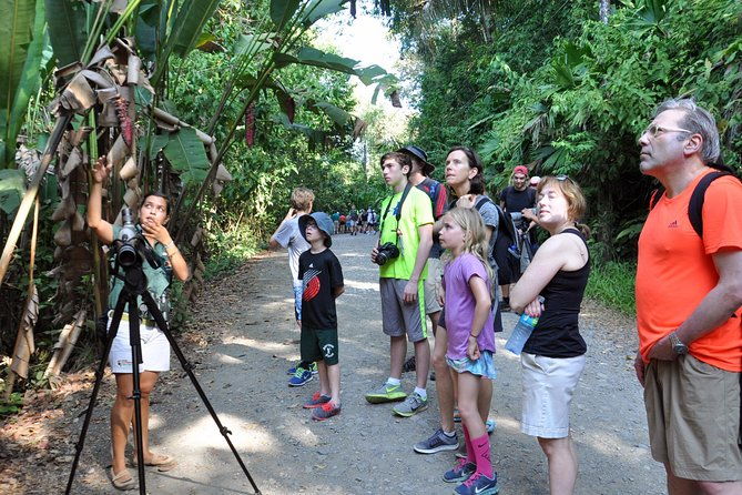 manuel-antonio-national-park-hiking-tour-from-jaco