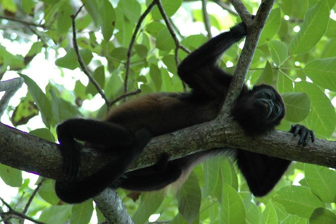 manuel-antonio-national-park-hiking-tour