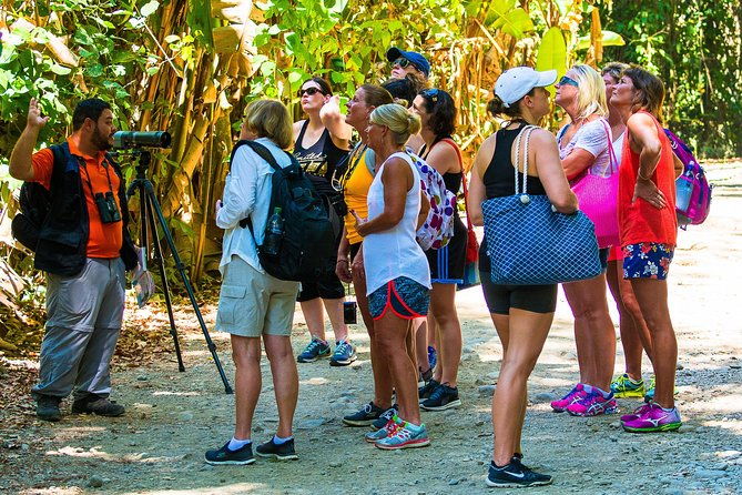 manuel-antonio-national-park-private-day-tour-from-jaco