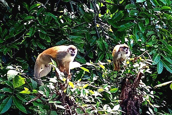 manuel-antonio-rain-forest-park-and-beach