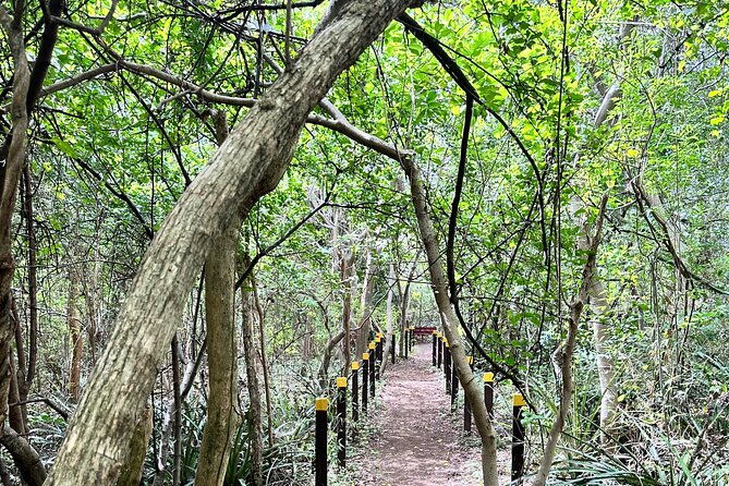 masaya-volcano-hike-through-comalito-hill-apoyo-lagoon