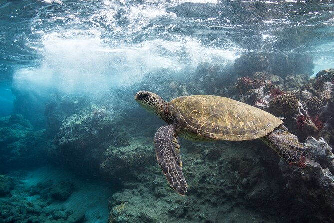 maui-beach-parks-self-guided-driving-tour