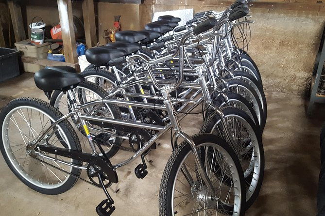 maui-haleakala-day-bike-tour-with-mountain-riders-from-6500-to-sea-level