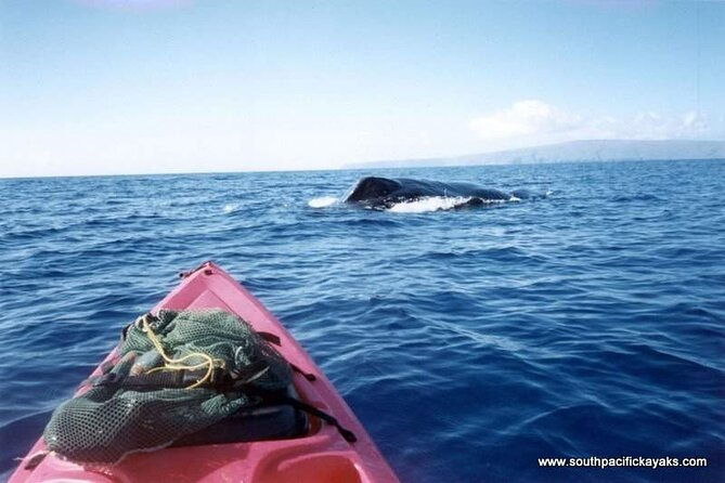 maui-south-shore-premier-kayak-and-snorkel-tour-from-makena-beach