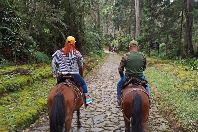 medellin-horse-ride-coffee-tour-and-spa