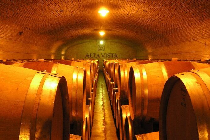 mendoza-wine-tour-with-lunch