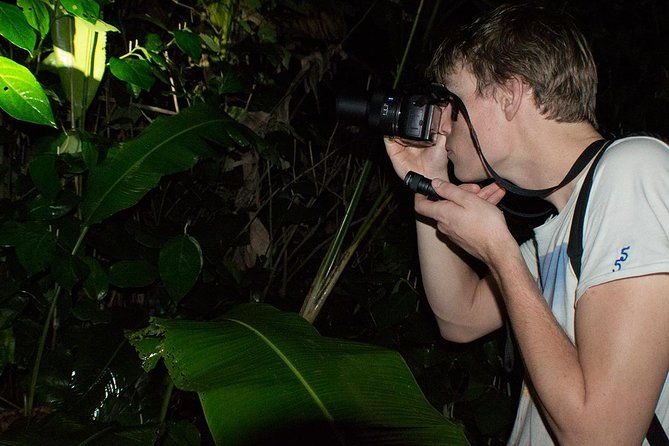 mesmerizing-night-walk-in-tortuguero