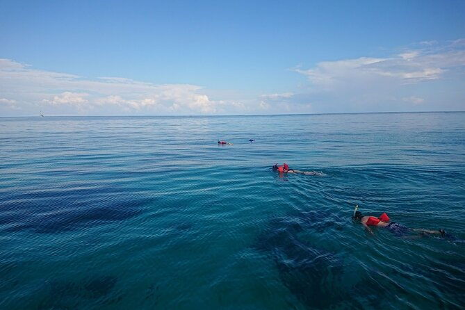 mexico-rocks-day-sail-shared-guided-tour