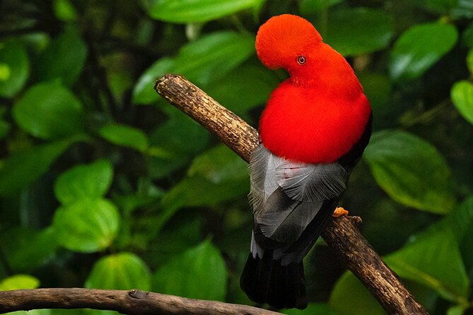 mindo-cloud-forest-nature-adventure-flexible-private-day-tour