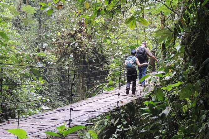 mindo-cloud-forest-private-day-tour