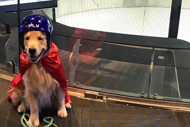 minneapolis-indoor-skydiving-admission-with-2-flights-personalized-certificate-2