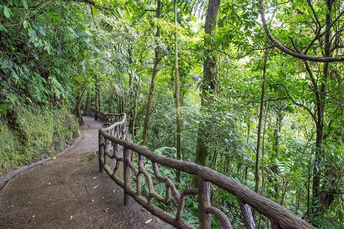 mistico-hanging-bridges-am-or-pm-guide-transport