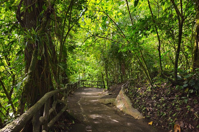 mistico-hanging-bridges-with-transportation-and-naturalist-guide
