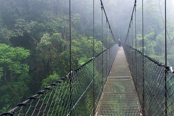 mistico-park-hanging-bridges-guided-tour