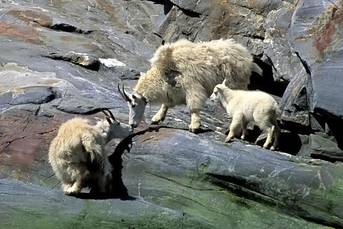 misty-fjords-expedition-6-passenger-boat