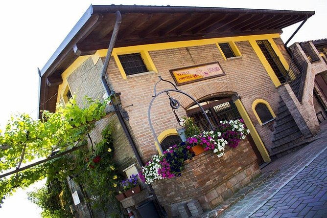 modena-area-balsamic-vinegar-aceto-tasting-experience
