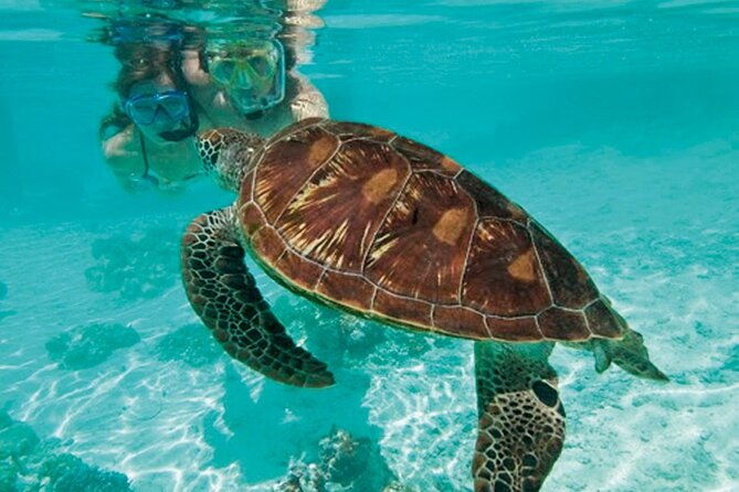 mojito-full-day-private-catamaran-cruise-sint-maarten