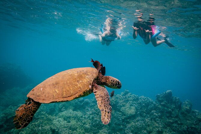 molokini-snorkel-whale-watching-from-kihei-2