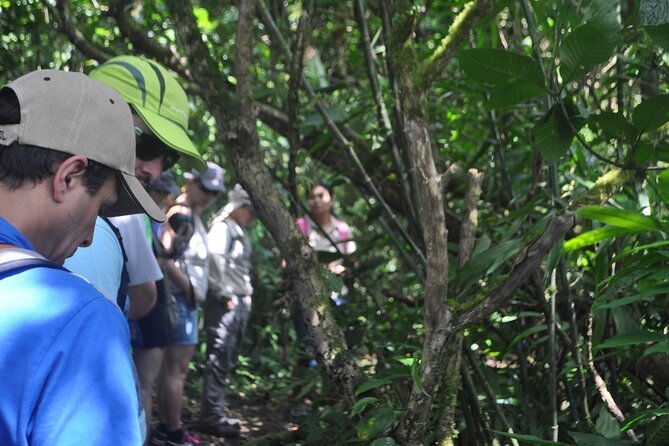 mombacho-volcano-trails-and-zip-line-amazing-natural-landscapes