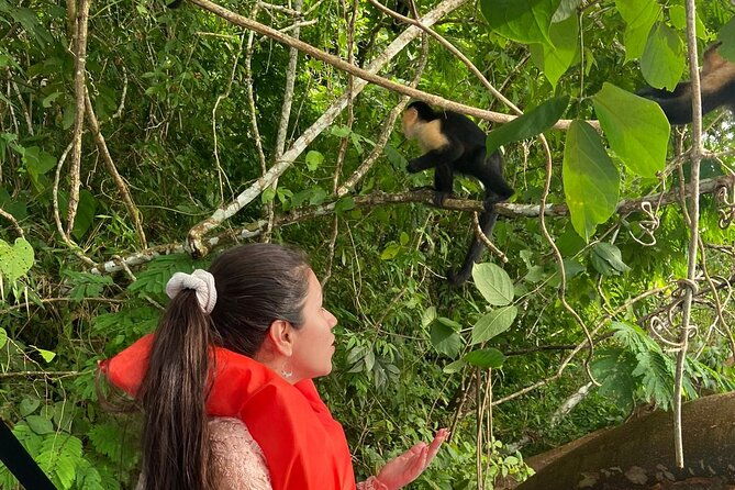 monkey-island-eco-wild-life-adventure-on-lake-gatun