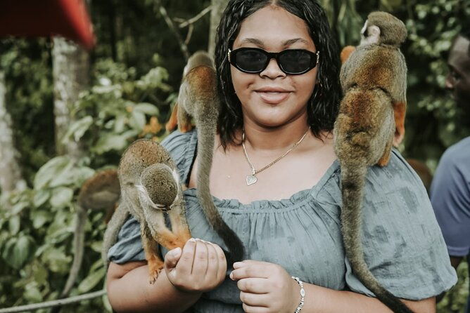 monkey-jungle-with-zip-line