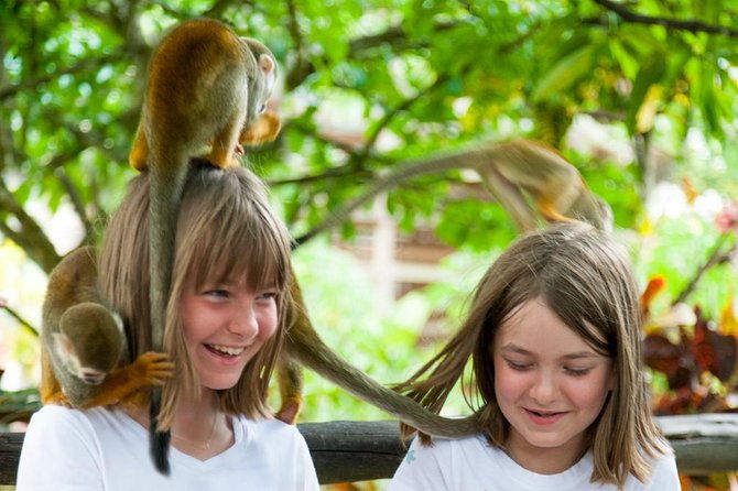 monkeyland-and-plantation-safari-tour-from-punta-cana