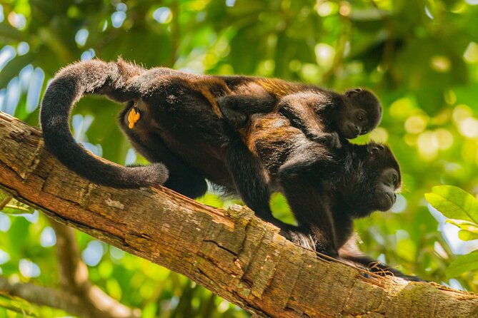 mono-island-and-panama-canal-trail-tour