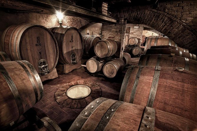 montalcino-castle-and-vineyards-tour-with-tasting-2