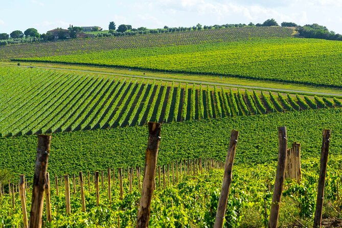 montecarlo-and-wine-tasting-from-lucca-private-tour