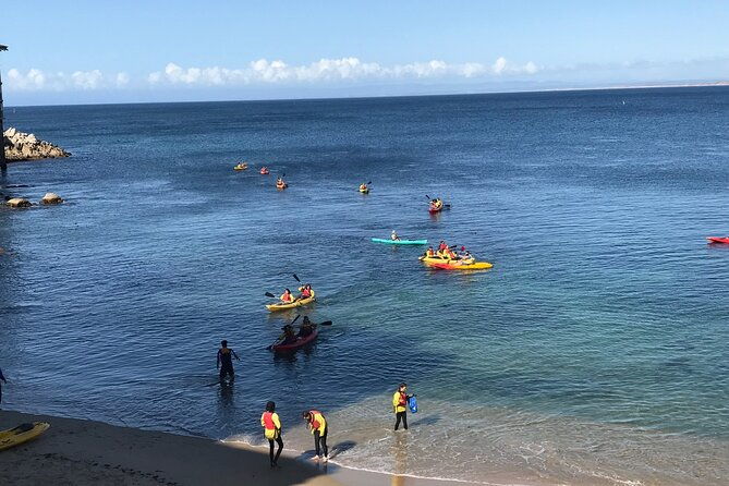 monterey-bay-full-day-kayak-rental-otters-seals-and-sea-lions-2