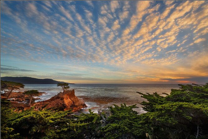 monterey-bay-full-day-kayak-rental-otters-seals-and-sea-lions