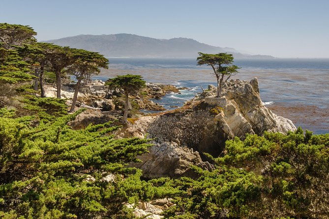 monterey-carmel-and-17-mile-drive-full-day-tour-from-sf