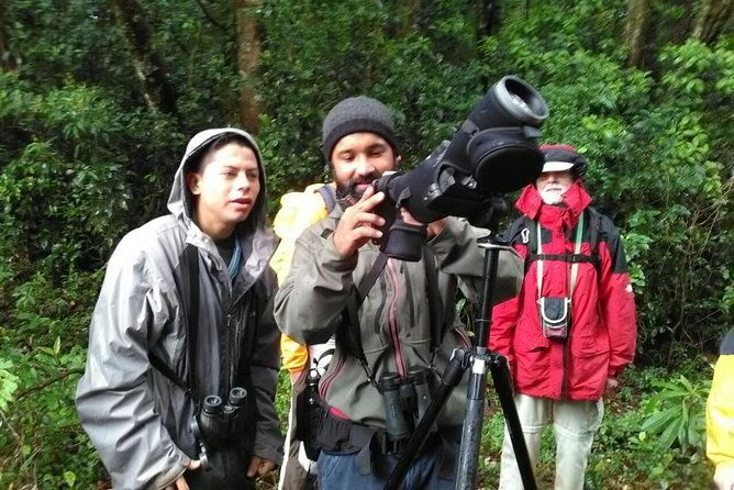 monteverde-birdwatching-experience