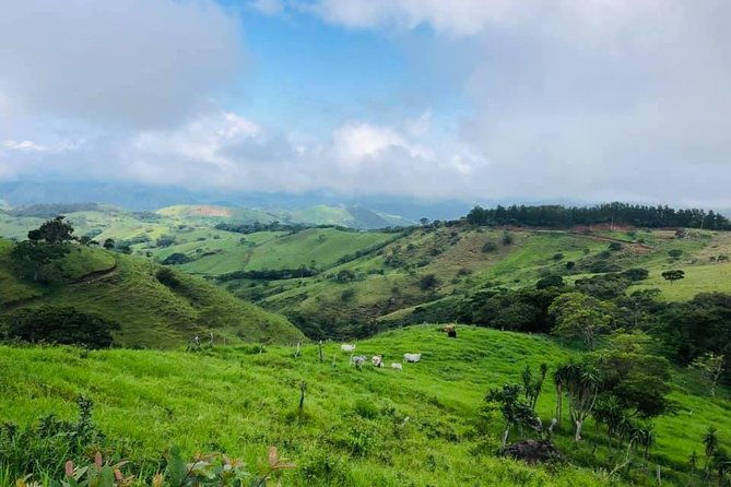 monteverde-cloud-forest-horseback-riding
