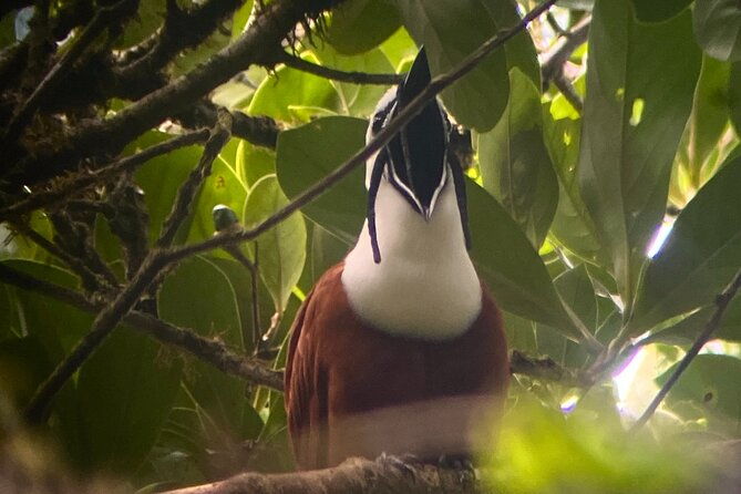 monteverde-cloud-forest-semi-private-tour