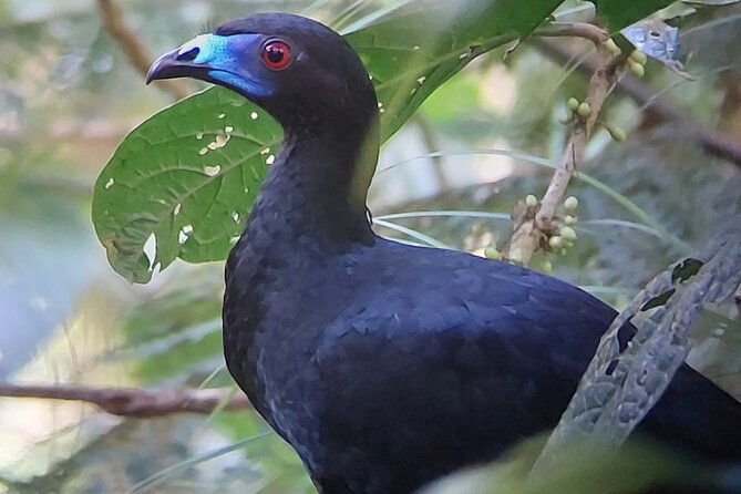 monteverde-cloud-forest-tour-2