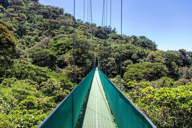 monteverde-sky-tram-hanging-bridges-cloud-forest-tour-from-san-jose