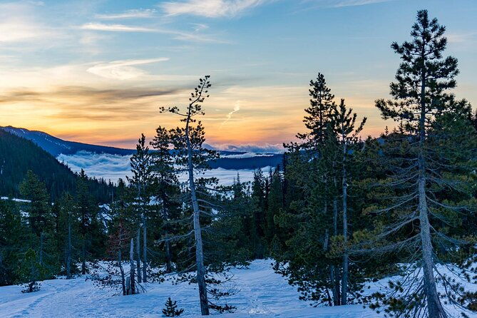moonlight-snowshoe-hike