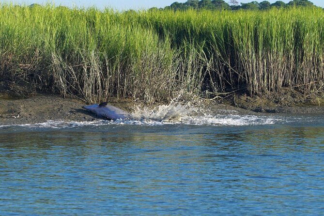 morning-beaufort-river-tour