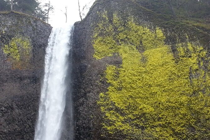 morning-multnomah-falls-and-gorge-waterfalls-tour
