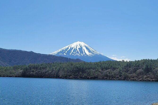 mount-fuji-day-tour-with-english-hindi-speaking-guide