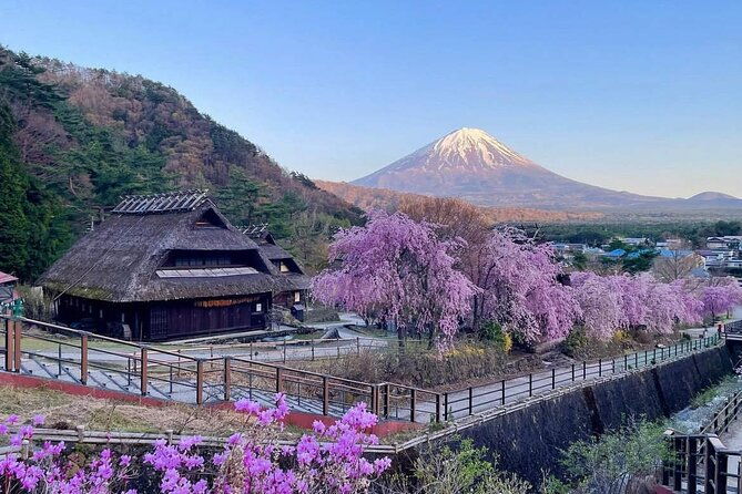 mount-fuji-four-iconic-scenic-spots-day-tour-from-tokyo