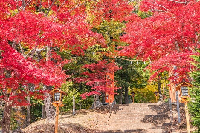 mount-fuji-full-day-tour-form-tokyo-lake-kawaguchi-yamanaka