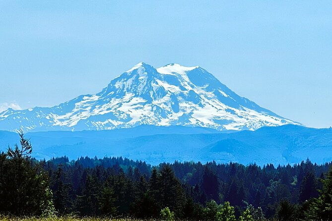mount-rainier-customized-tour-from-seattle