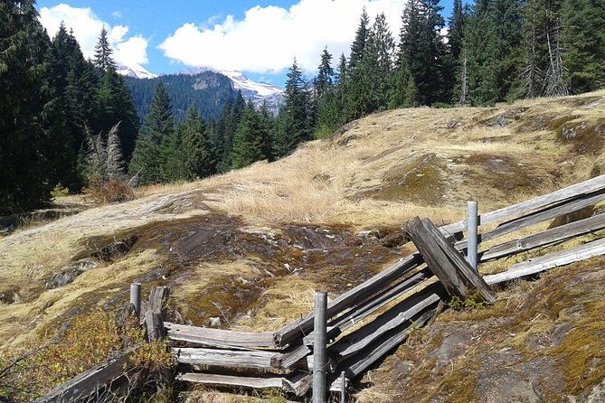 mount-rainier-tour-from-seattle