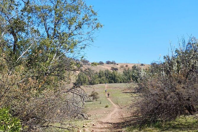 mountain-bike-experience-from-chile